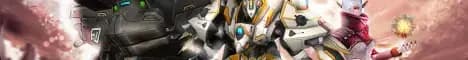RF Online 4.55 NINJA Banner Image